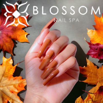 Book now: blossomnailspa.net