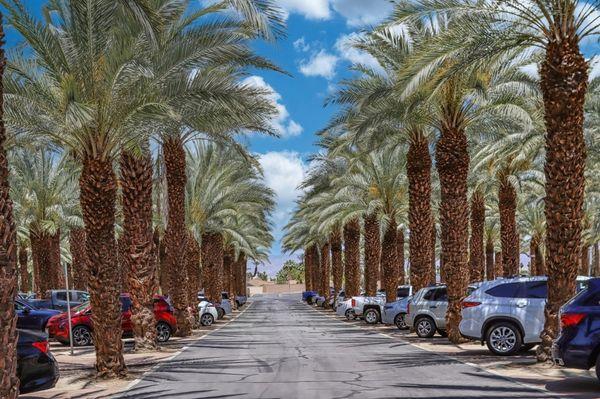 Palm Desert Aquatic Center