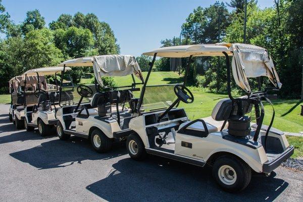 Grab a cart, tee it up, have a blast!