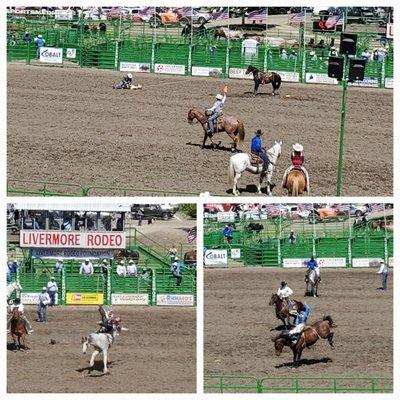 Saddle bronc riding and tie down roping