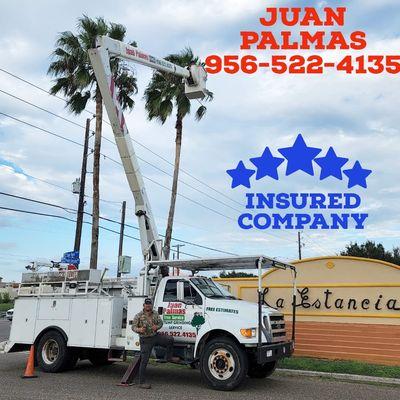 Juan Palmas Tree Service