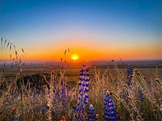 Good morning from Bakersfield