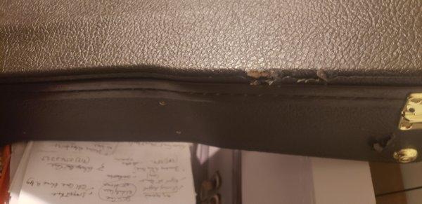 guitar case  had rips from the mishandling and the strings were busted due to weight placed on top of it.