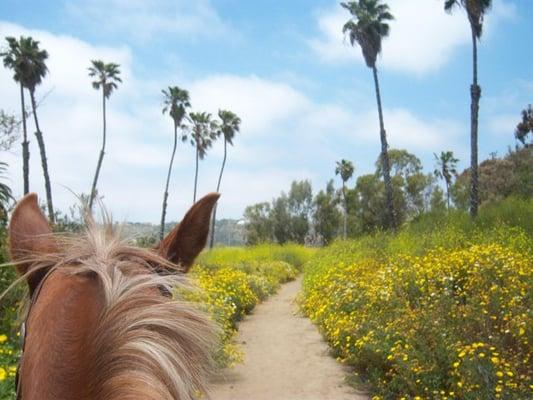 Trail Access, Sorry no Rentals or Trail Rides