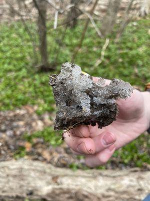 Ipswich River Wildlife Sanctuary