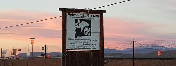 Animal Village NM