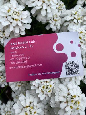 K&N Mobile Lab Services