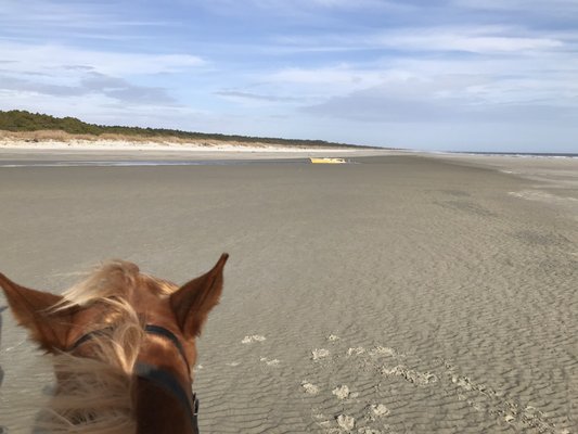 The gorgeous views on the beach.