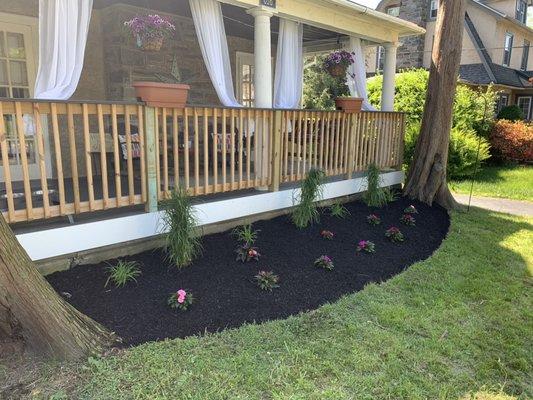 New garden bed with grass and annual flowers