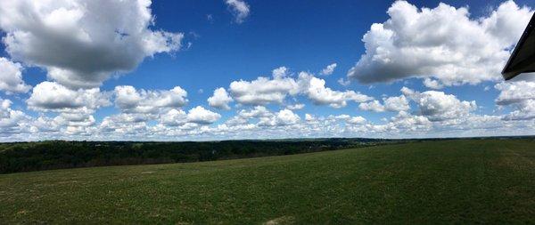 View from hill on the other side of the dog park.