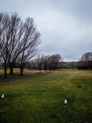 4th Hole  Green is behind the the trees center of photo.