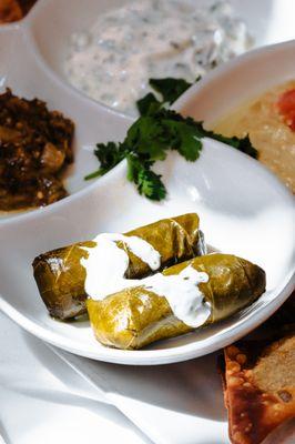 Dolma
Grape leaves filled with dill rice and topped with garlic yogurt sauce(vegetarian)