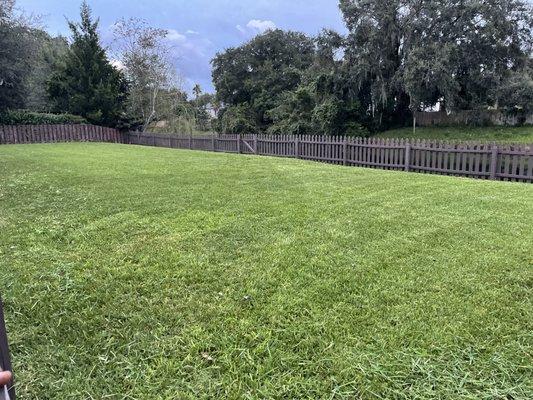 Lawn fertilization and weed control results