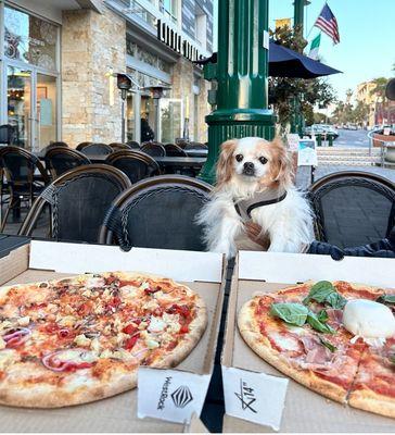 Our 18 year old dog Bambam love the Prosciutto on our Pizza , he was actually the who ate the most of the  prosciutto ;)