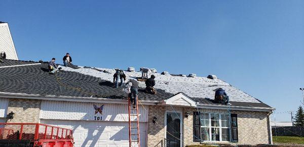 Install new roof