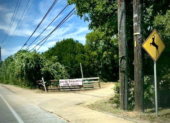 Entrance to Woods Stables off of Brodie Ln. A little after Star of Texas Veterinary.