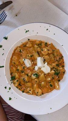 homemade gnocchi in pink sauce