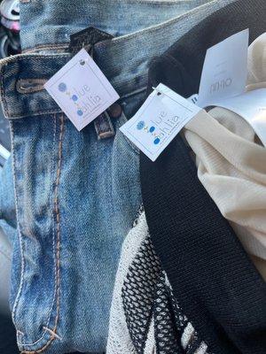 Unworn clothes from blue dahlia