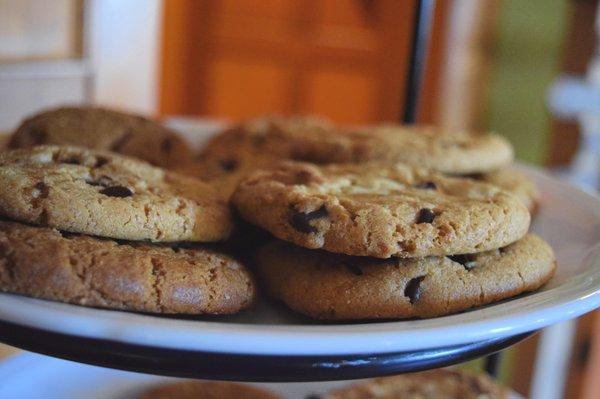 Afternoon Complimentary  Cookies, Coffee & Tea