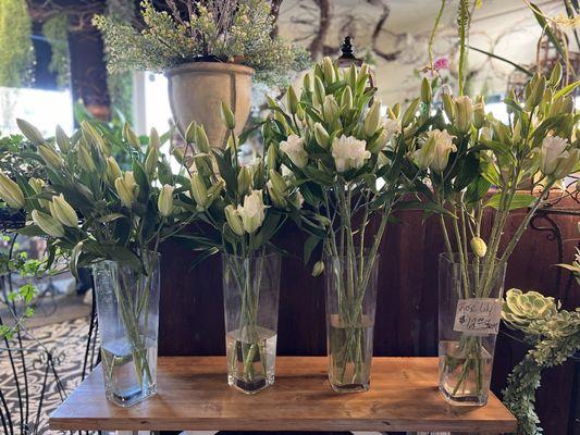 Beautiful rose lilies