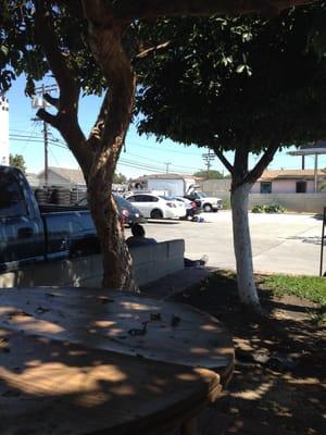 It's hot today but this place has a shade tree.