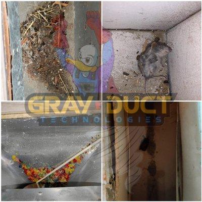 A collage of some of the nasty stuff we take out of vents! 
Contact us today! 952-486-0079