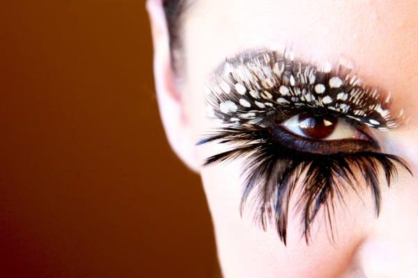 Feather Lash