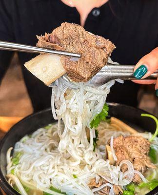 Beef Short rib Korean Pho