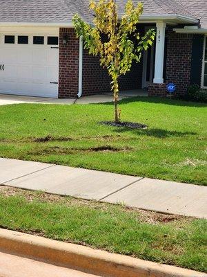 Hole in neighboring yard