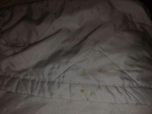 Blood stains on bedspread!!