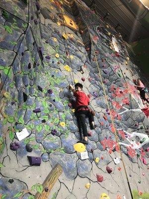 Castle Wall, aka the autobelay wall.