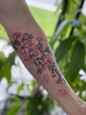 Cherry blossoms done by Frank