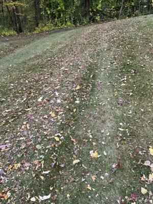 My lawn immediately after "mowing" by Nicks Lawncare and Landscaping (Selkirk NY)