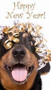 Happy New Year! We have added hand stripping as a service! 
 But we have put a 50 lb limit on our dogs we groom. We look forward
 to 2016