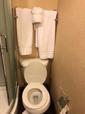 Toilet next to shower