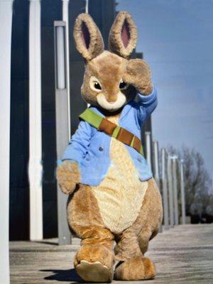 Peter Rabbit aka The Easter Bunny is just a phone call away!