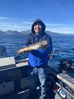 Lake trout