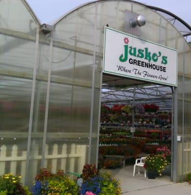 Entering the greenhouse