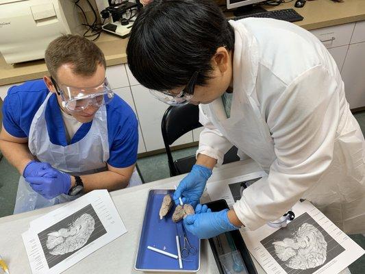 Hands-on training with real medical instruments to prepare students for the real world.