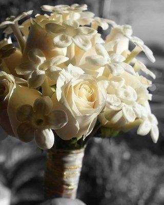 Bridal bouquet made with ivory roses and stephanotis