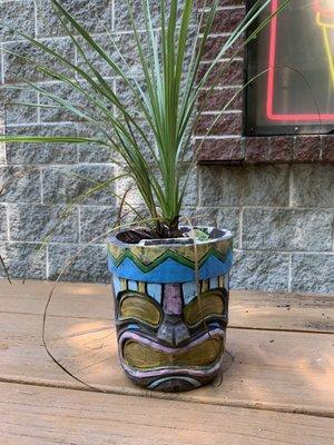 Tiki plant.