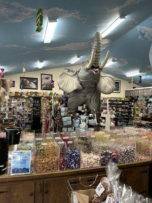 Inside Mr. Ed's Elephant Museum & Candy Store