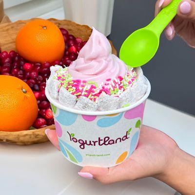 Yogurtland Garden Grove