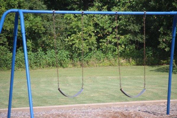 Cottonwood Creek Greenbelt Park Swings. Photo by Happy Tails Pet Pal, LLC.