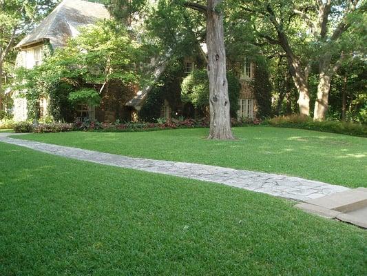 organic lawn care in Dallas, Tx