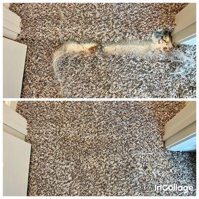 Carpet Repair.