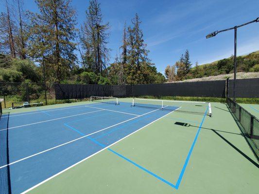 Pickleball courts