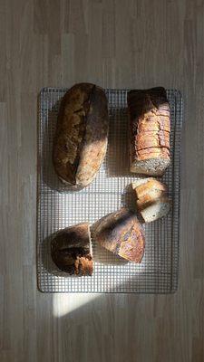 test loaves of bread