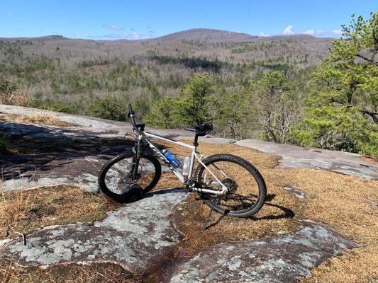 DuPont- rugged quality bike!