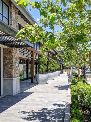 Sidewalk at The Vineyards at Porter Ranch